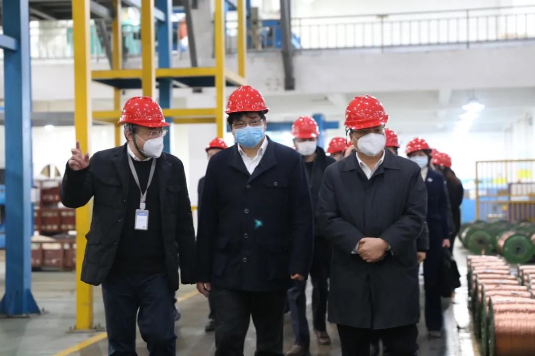 省委組織部副部長胡旭陽一行赴浙江中大元通特種電纜有限公司開展 “三服務”活動 調(diào)研指導疫情防控和復工復產(chǎn)